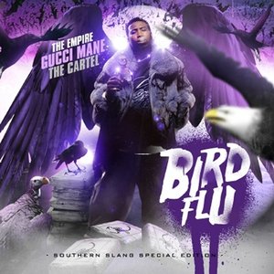 “Bird Flu”的封面