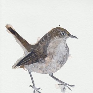 Image for 'Nightingale Wake Up Calls'