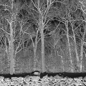 Image for 'Sunshine And Balance Beams'