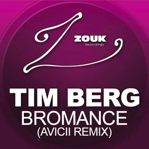 Image pour 'Bromance (Avicii Remix)'