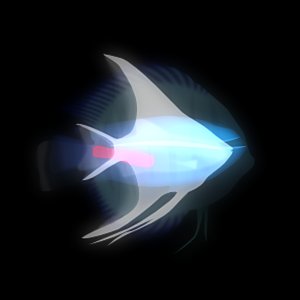 Image for '魚の夜夢の夜'