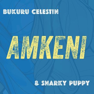“Amkeni”的封面