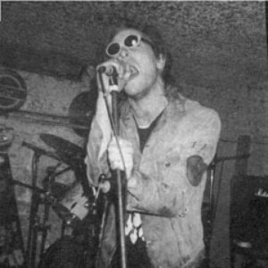 Imagen de 'Fleas and Lice'