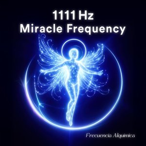 Bild für '1111 Hz Miracle Frequency'