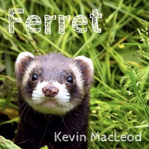 Image for 'Ferret'