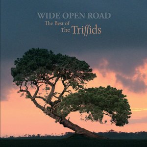 Imagem de 'Wide Open Road - The Best of The Triffids'