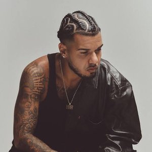 “2ZDinizz”的封面