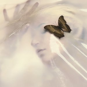 Image pour 'Speak Like the Dead'