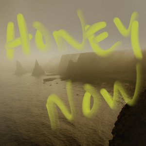 Image for 'Honey Now'