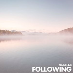 Image for 'Following'