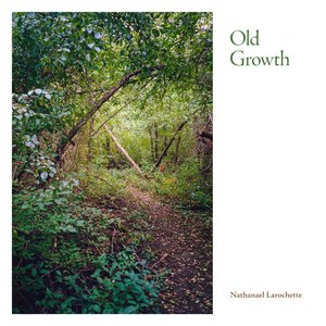 Image for 'Old Growth'