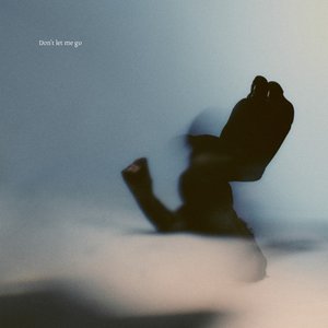 Image for 'Don't Let Me Go'