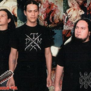 Image for 'Melting Flesh'