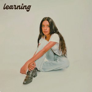 “Learning”的封面