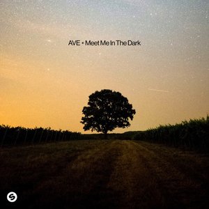 Image for 'Meet Me In The Dark'