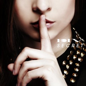 “SECRET”的封面