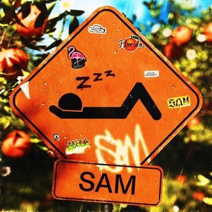 Image for 'SAM'