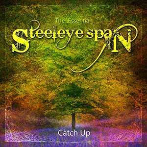 Image for 'The Essential Steeleye Span: Catch Up'