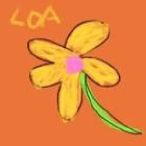 “LOA”的封面