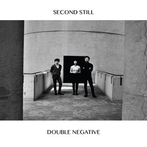 Image for 'Double Negative'