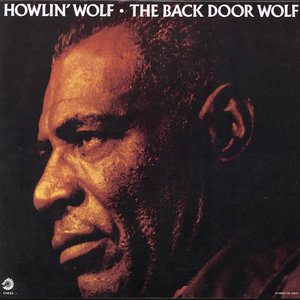 Image for 'The Back Door Wolf'
