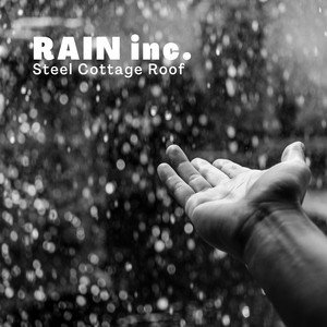 Image for 'Rain Inc'