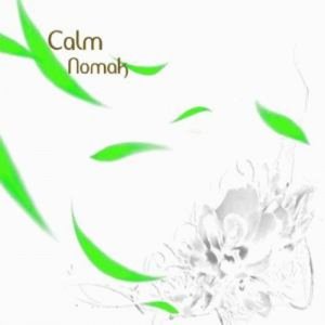 “Calm”的封面