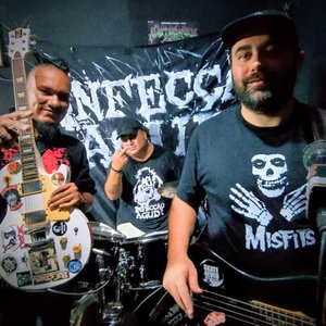 Image for 'Renegados Pelo Sistema Punk HC'