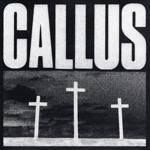 Image for 'Callus'