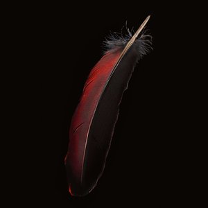 Image for 'Hair incl. The Honeymoon Files (Re-Edition 2025)'