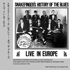 Image for 'Snakefinger's History Of The Blues'