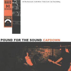 “Pound For The Sound”的封面