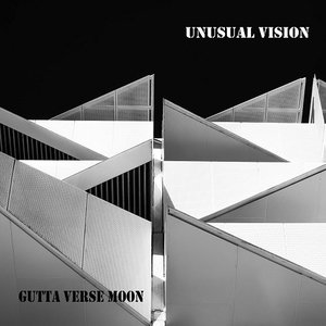 Image for 'Unusual Vision'