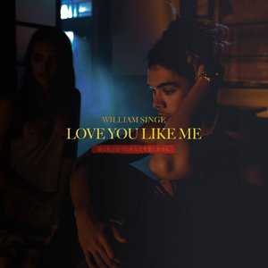 Immagine per 'Love You Like Me'