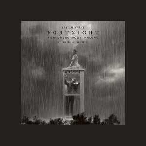 Image for 'Fortnight (feat. Post Malone) [BLOND:ISH Remix] - Single'