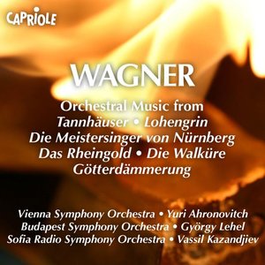 Image for 'Wagner, R.: Orchestral Music From Operas'