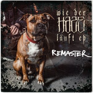 Изображение для 'Wie der Hase läuft EP (Remastered)'