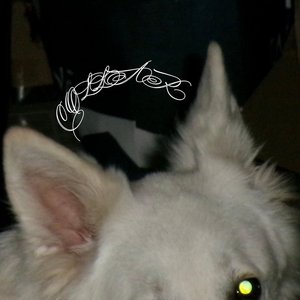 Изображение для 'Collar'