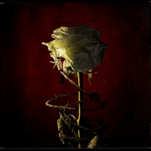 Image for 'Whatever It May Take'