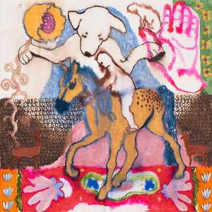 Image for 'horseshoe'