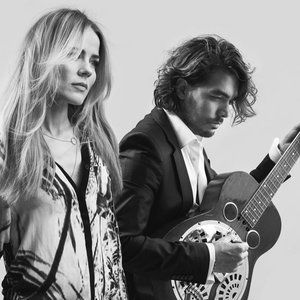 Bild för 'The Common Linnets'