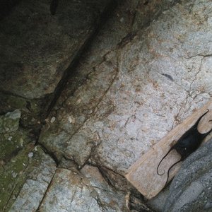 Image for 'slipping'