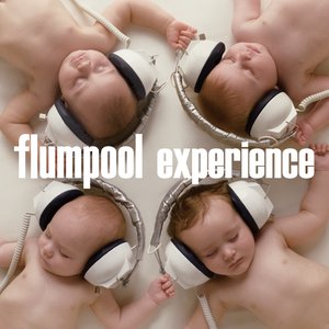“experience”的封面