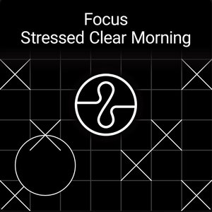 “Focus: Stressed Clear Morning”的封面
