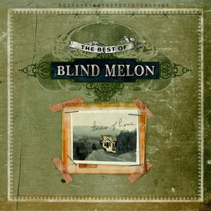 “The Best of Blind Melon”的封面