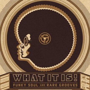Image for 'What It Is! Funky Soul and Rare Grooves 1967–1977'