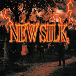 Image for 'NEW SILK'
