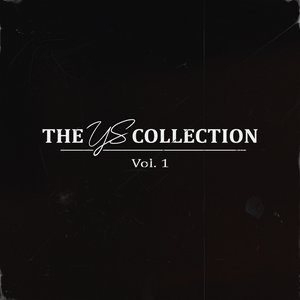Image for 'YS Collection, Vol. 1'