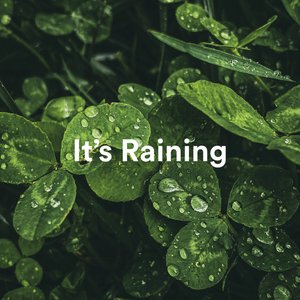 “It's Raining”的封面