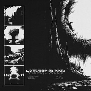 Image for 'HARVEST GLOOM'